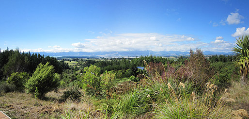 View from the house